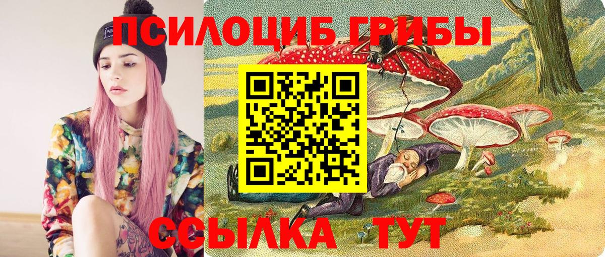 Псилоцибиновые грибы мицелий  Галлюциногенные грибы мухоморы  где продают   Вход с VPN  Сегежа 