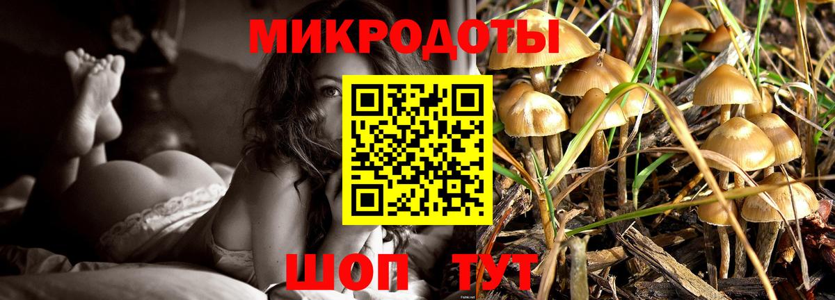 Галлюциногенные грибы MAGIC MUSHROOMS Сегежа
